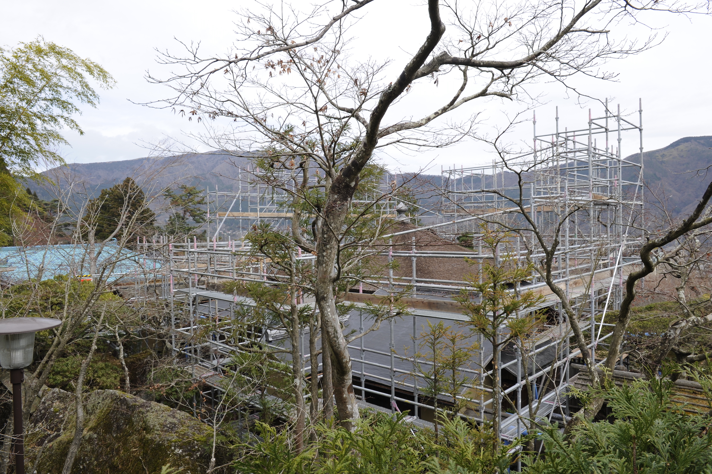 Renovation project of each facility in Shinsen-kyo